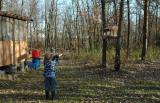 bb gun